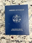 2005 Silver American Eagle One Dollar Coin