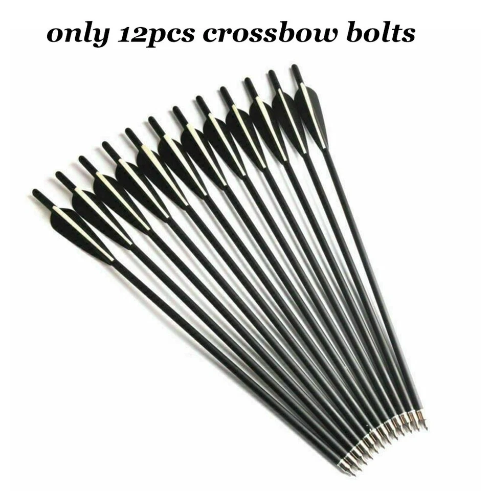 Pernos de ballesta de 20" flechas de ballesta levas iluminadas tiro con arco objetivo de tiro OD8.8 Foto 3 de 4