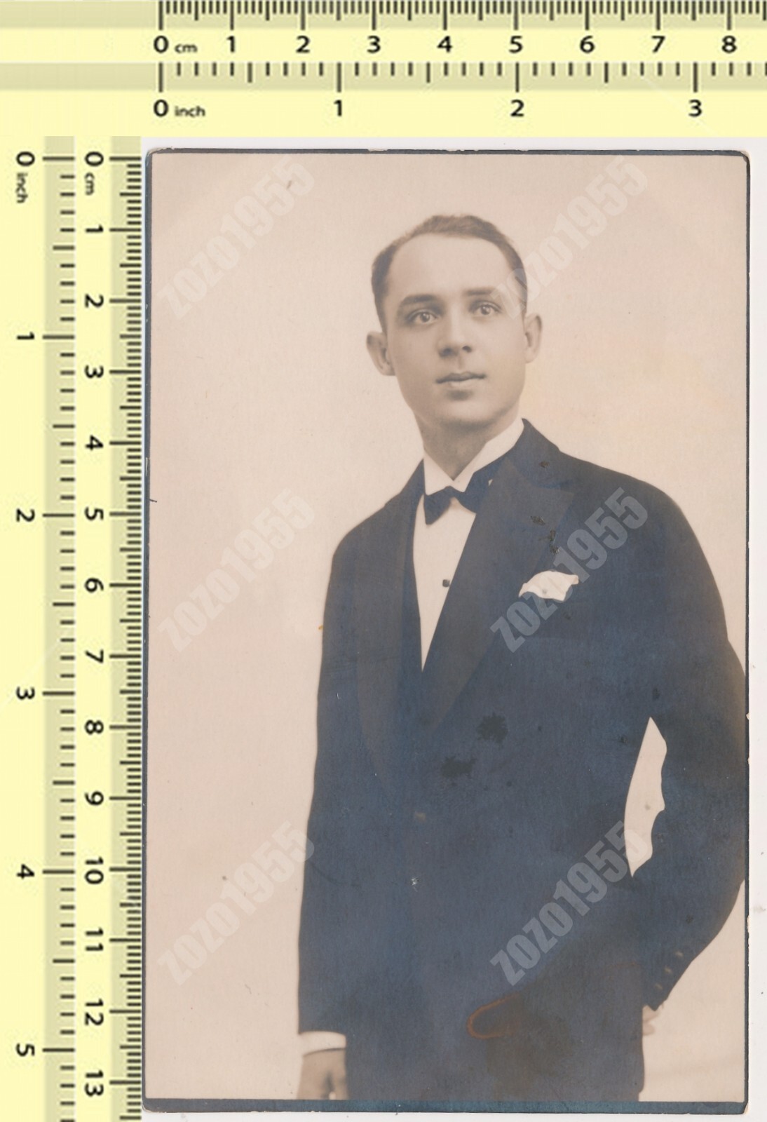 1927 Elegant Man Gentleman Guy Classy Male Portrait vintage photo old original