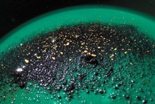 1 lb California Gold Paydirt Mother Lode Pay Dirt Bag Panning Concentrates