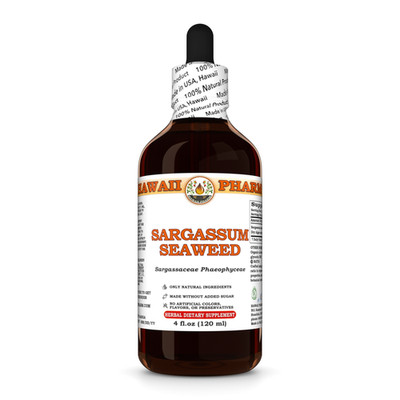 Sargassum Seaweed (Sargassaceae Phaeophyceae) Dried Algae Liquid Herbal Extract