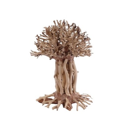 Bonsai Mammut Baum L Wurzel Holz Aquarium Deko Aquascaping Natur Oriental