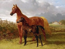 A CHESTNUT MARE AND FOAL J. Herring horse Tile Mural Backsplash Marble Ceramic