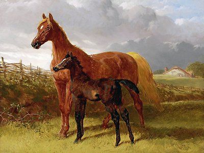 A CHESTNUT MARE AND FOAL J. Herring horse Tile Mural Backsplash Marble Ceramic
