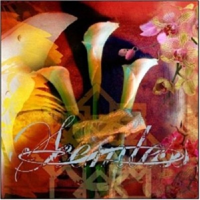 Seemless - What Have We Become  CD  10 Tracks Metal/Hardrock/Rock  Neuware