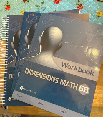 Dimensions Math 6B Instructor Guide, Workbook, and student textbook set of 3