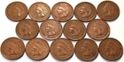 Lot (14) Full LIBERTY Indian Head Cents 1883 1886 1888 1889 1891 1899 Penny 1C