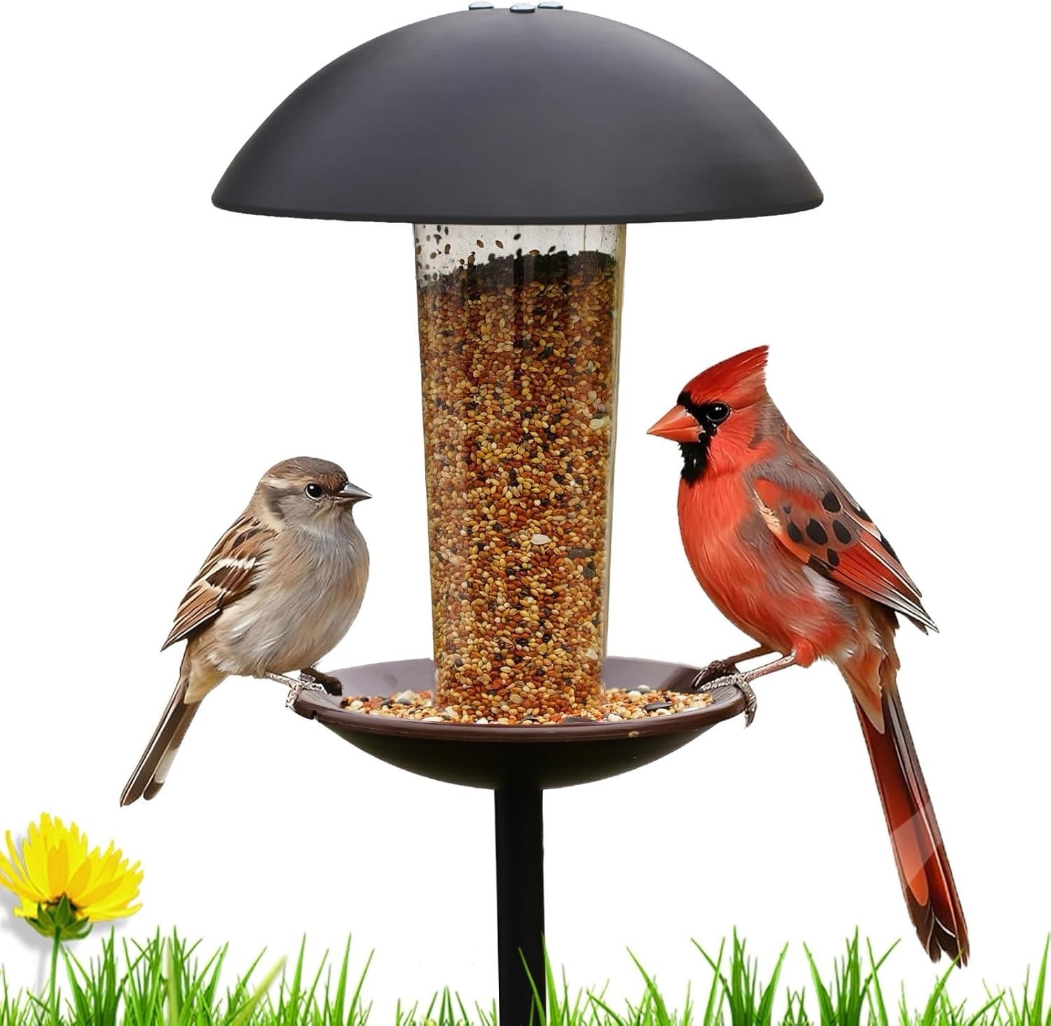 With Pole Standing - Metal Outdoor Bird Feeder For Wild Smal