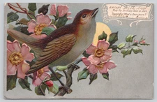 Postcard Birthday Poem Bird in Tree Pink Flowers Full Moon / Sun - Silver Finish
