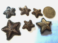 esercito italiano regio coloniale regno del sud stellette ww1 ww2 rsi ufficiale