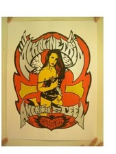 Alkaline Trio Poster American Steel Signed And Numbered By Artist Billy Perkins