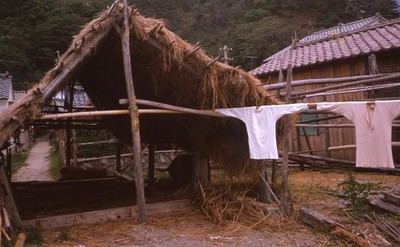 SL32 Slide 1960s  - Pusan Village Scene Thatch Roof Drying Clothes 052a