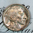 * 1919-P * SOLID+ GEM BU MS BUFFALO NICKEL * FROM ORIGINAL COLLECTION