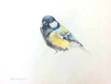 Blue Tit, Birds, Watercolor artwork,Handmade,Original painting on paper