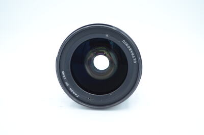 Canon 24mm f/1.4 L USM EF-Mount Lens {77} With Caps and Hood | eBay