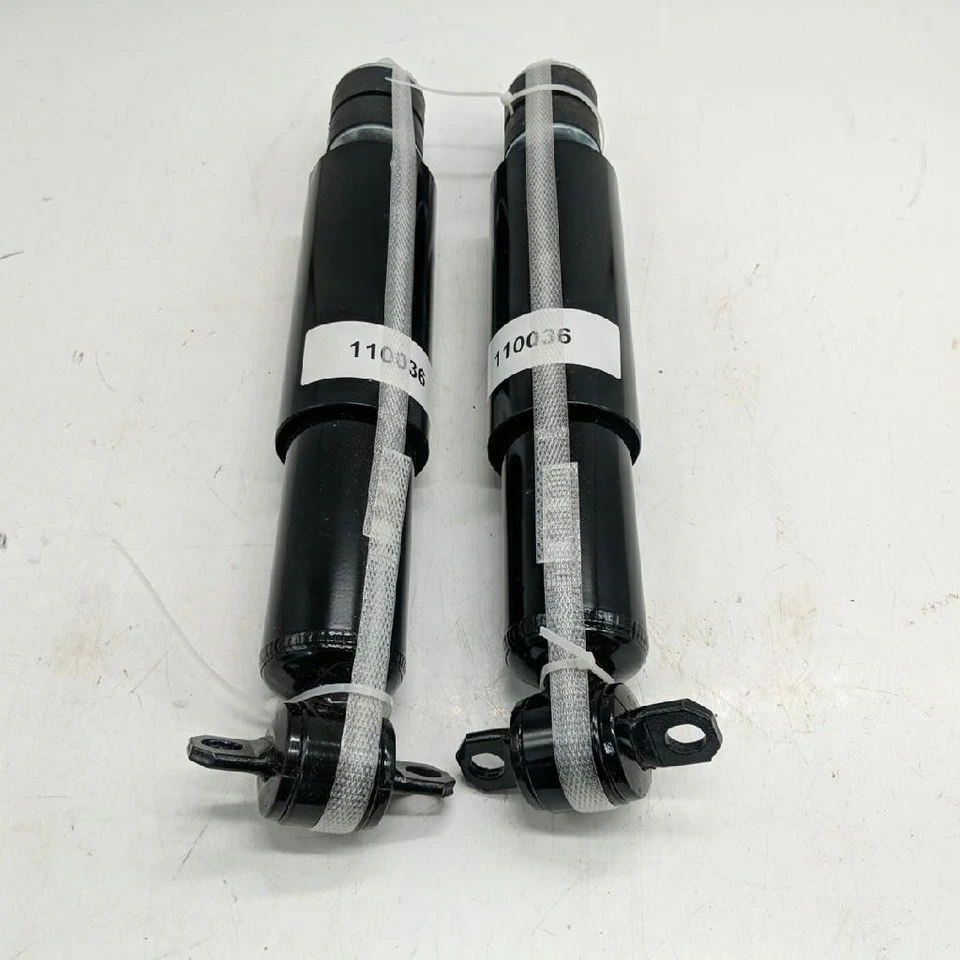 2x Amortiguador delantero para Crown Victoria Town Car Grand Marquis F8VZ18125AA Foto 2 de 4