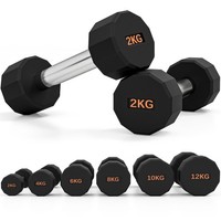 SPORTNOW Dumbbells Weights Set with 12-Sided Shape and Non-Slip Grip, 2 x 2kg