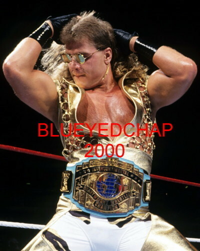 SHAWN MICHAELS WRESTLER 8 X 10 WRESTLING PHOTO WWF | eBay