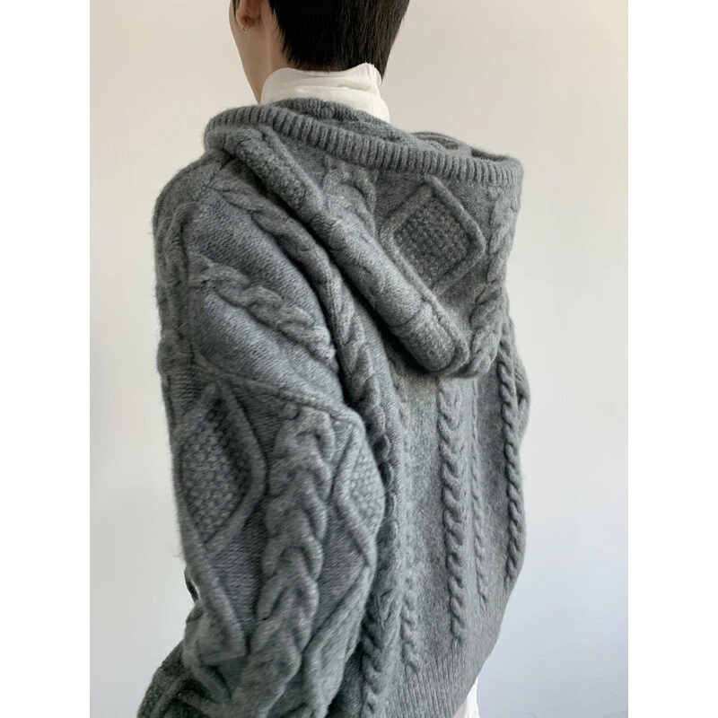 Hombres Negocios Otoño/Invierno Engrosado Suéter con Capucha Twist Tejido Suéter Chaqueta Foto 2 de 4