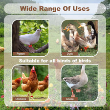 100 Pieces 16 mm Chicken Identification Leg Bands, Colorful 01-100 Numbered D...