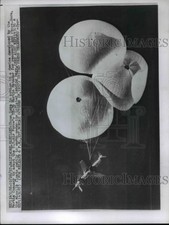 1957 Press Photo Baltimore MD USAF TM 26 Martin Matador missle recovery chutes