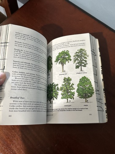 The Boy Scout Handbook + Child Abuse Parents Guide Trail Eagle BSA 1990 ** DEFECTOS - Imagen 18 de 22