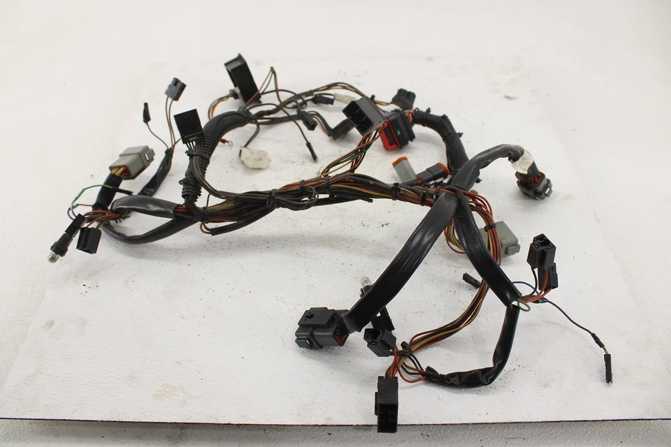 Harley-Davidson Touring Electra Road Glide Inter Glide 2002 02 interconectada Foto 3 de 4