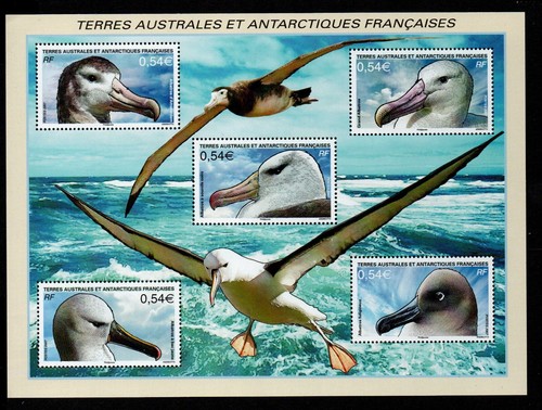 FSAT/TAAF 2007 Albatrosse Miniaturblatt SG MS575 U/M (MB)