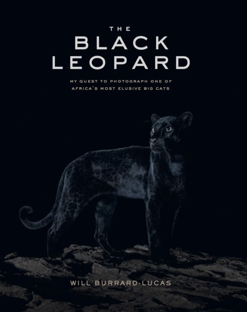 Black Leopard
