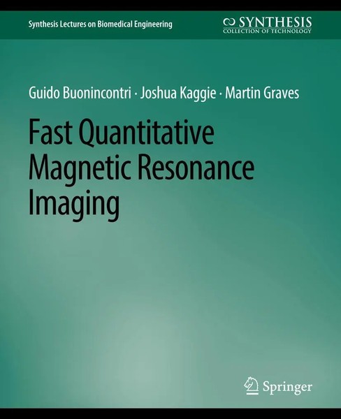 Fast Quantitative Magnetic Resonance Imaging Guido Buonincontri (U. A.) Buch Xv-image