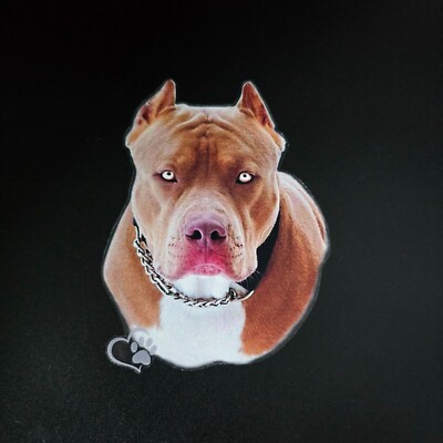 American Pit Bull Terrier Aufkleber Sticker Hund HD Quality UV Filter 12X15CM