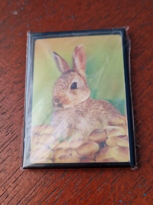 Wildhase Magnet Wildhasen Kühlschrankmagnete Hasen Hasen Wildtiere Natur
