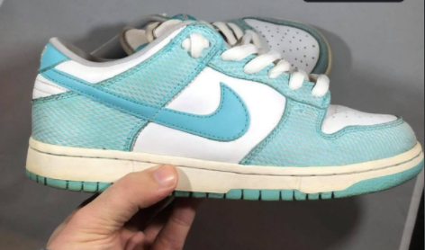 nike sb dunk low high hair