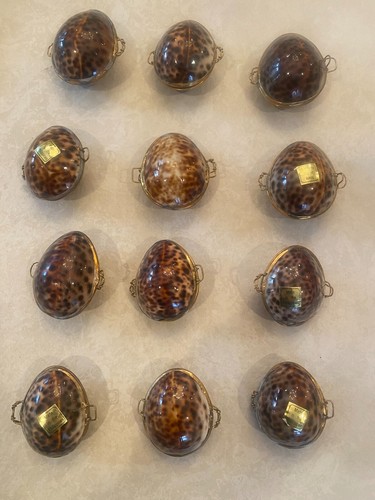 Menge 12 - Vintage Muschel Schmuck Pillendose Ring Box Behälter Halter (gefleckt) - Bild 1 von 8