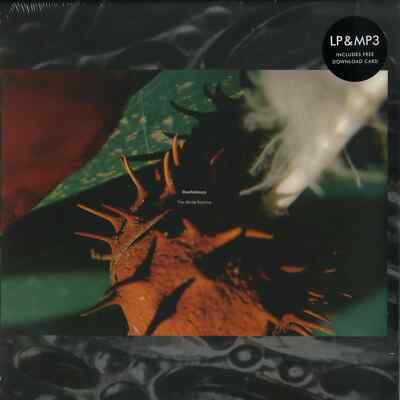 Rawfishboys / THE WHITE STARLINE (LP) / WERF / WERF145LP / 12 Inch