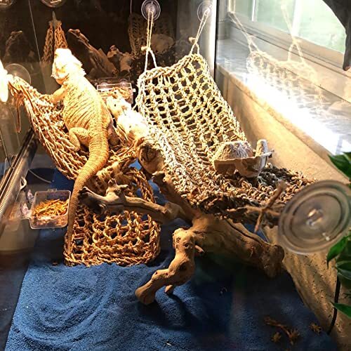 Bearded Dragon Hammock,Reptile Lounger Lizard Natural Seagrass Habitat
