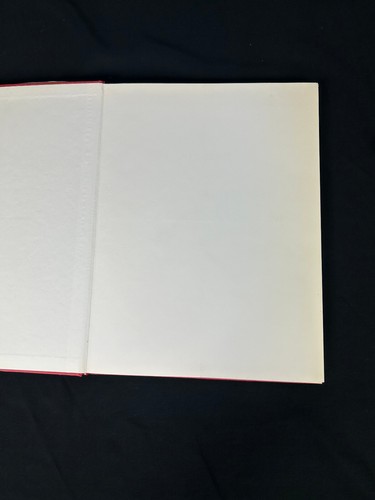 Gaston Diehl Art Hardcover 2 Bücher Schutzumschlag 1973 Kees Van Dongen & Max Ernst - Bild 11 von 20