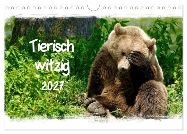"Calendar 2027 · US Version · Animal Funny (Wall Calendar 2027 12\" × 8\" Landscape"-image