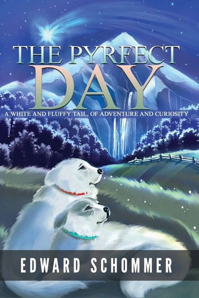 The Pyrfect Day Edward Schommer Taschenbuch Kartoniert / Broschiert Englisch-image