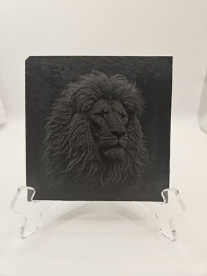 Wildtiere 6 Untersetzer Set