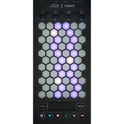 INTUITIVE INSTRUMENTS EXQUIS MPE CONTROLLER : NEW : [DETROIT MODULAR]