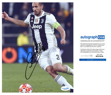 Giorgio Chiellini 'Juventus' Soccer Legend Signed 8x10 Photo ACOA Italy