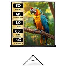 Beamer Leinwand mit Stativ Heimkino HD TV Rollo Leinwand 16:9 mobil 85-110 Zoll