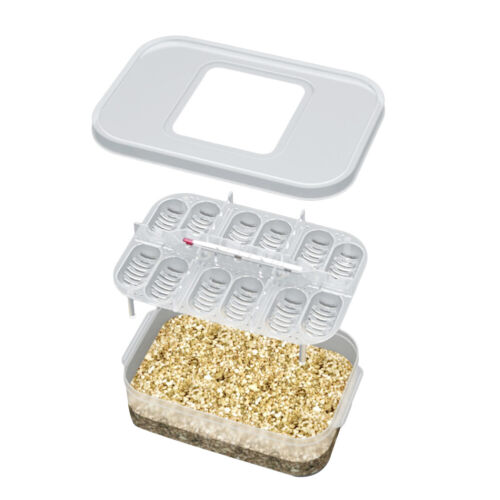 Small Reptile Incubator Box With Tray 12 Grids Snake Eggs Breeding Boxes Hatcher