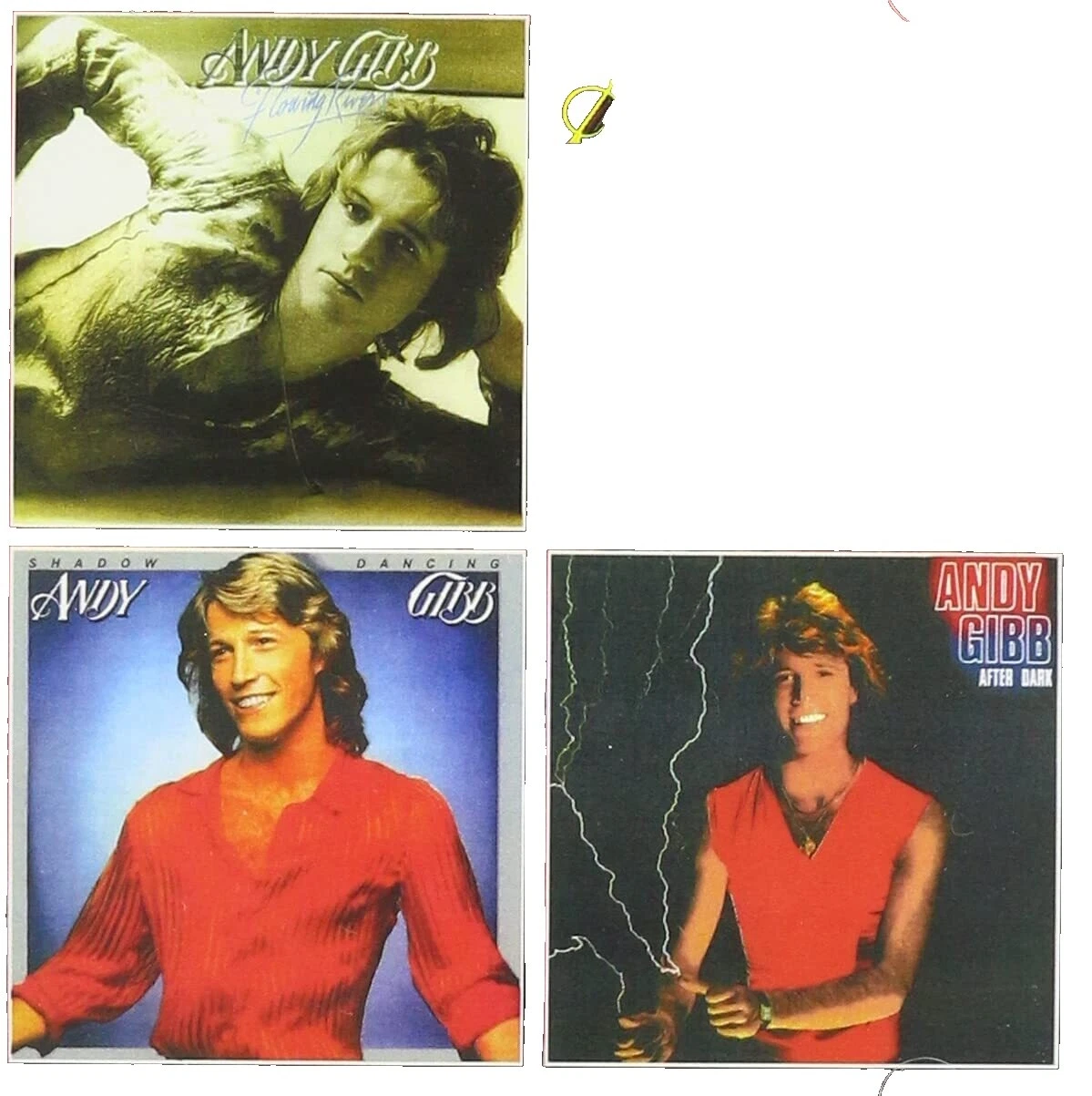 CD de música rock Andy Gibb