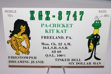 1976 Marvel Comics Tigra Radio Operator FCC Card Marvelmania!