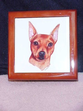 RED Min Pin Miniature Pinscher Trinket/Jewelry/Ring Lined Hinged Red Box NEW