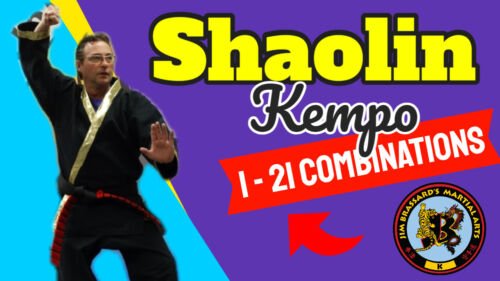 🔴 Shaolin Kempo Karate Kung-Fu Jiu-Jitsu Combinations / DM 1-21 - Jim Brassard - Afbeelding 1 van 10