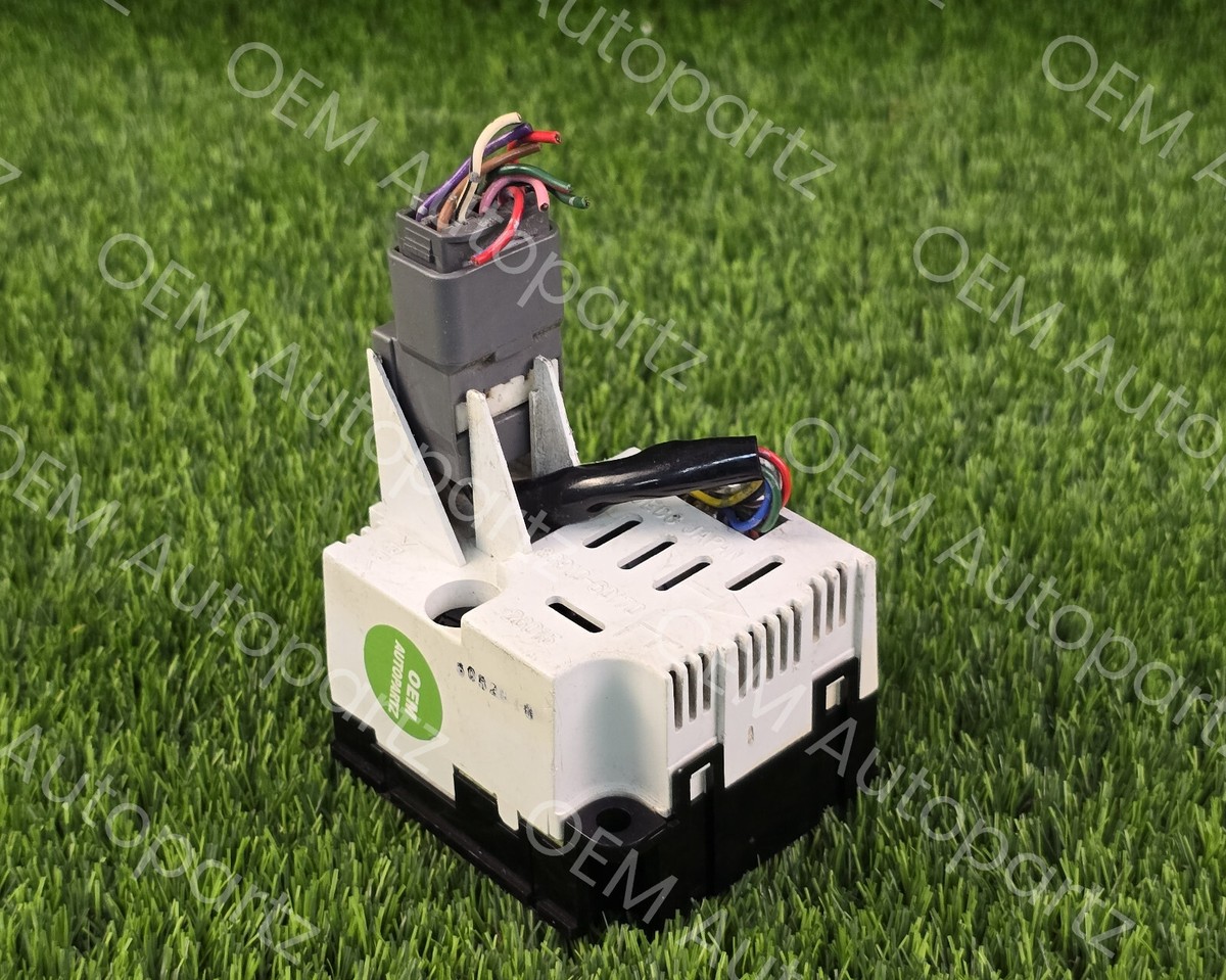 トップス LGB 楽天市場】ZX（性別レディース）（トップス｜レディース