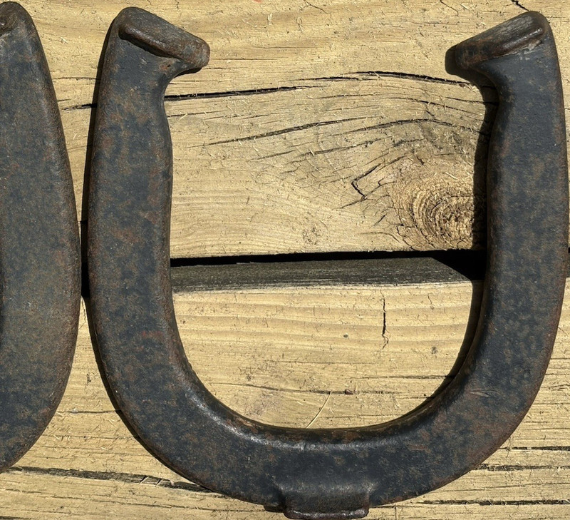 Diamond Duluth Double Ringer Horseshoe Game Set of 4 Vintage MPN B